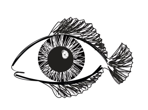 illustrations: fish eye