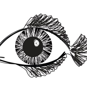 illustrations: fish eye